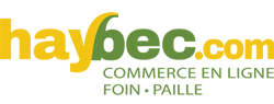 site Haybec.com